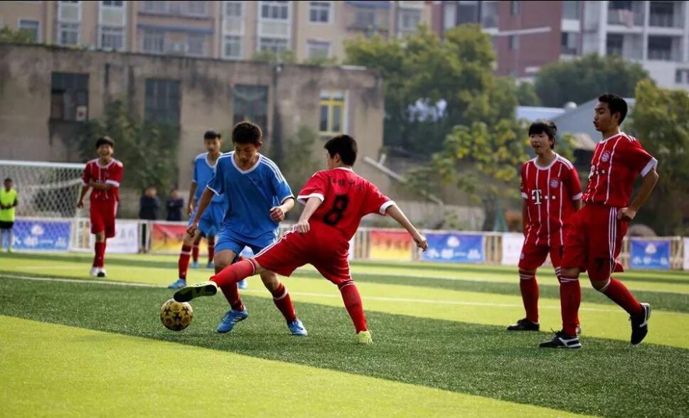 丹江口市2019年足球联赛,丹江口市中小学足球联赛