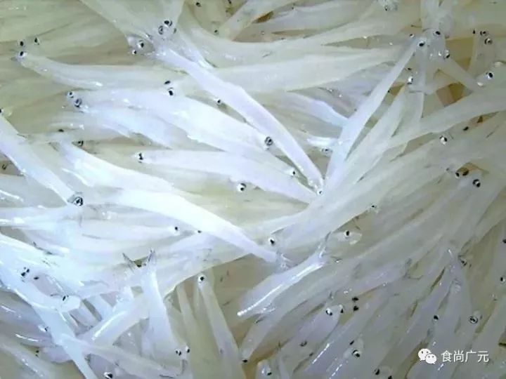 复兴号全面启动,四川广元复兴号