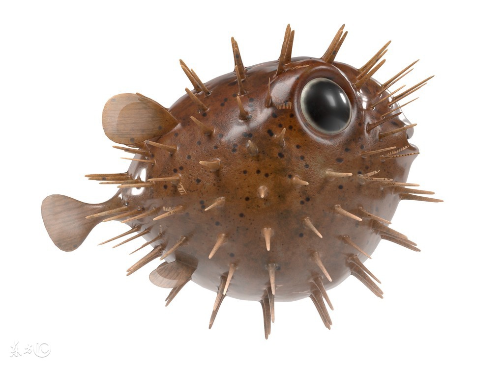 世界上最可怕的十个毒药,世界上最昂贵的毒药