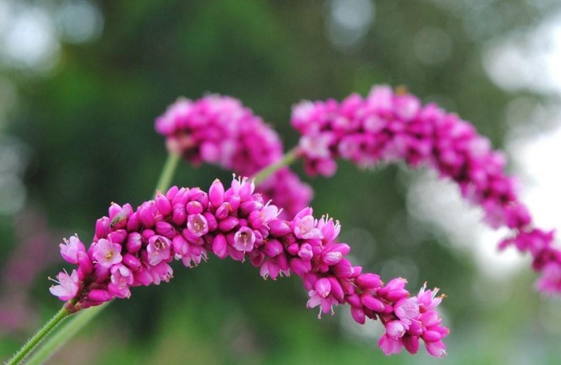做人不能太窝囊废,做人太失败活得一塌糊涂