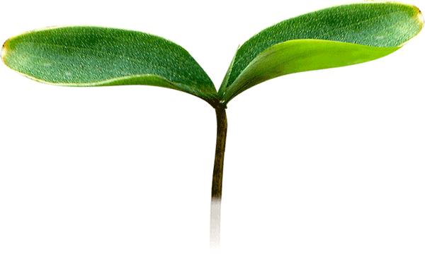 20个蛋黄酥测评,便宜又好吃的蛋黄酥测评