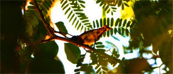 北纬18度温暖的冬季三亚之旅,北纬18度三亚旅游