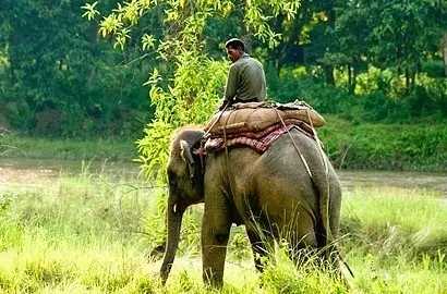 来泰国旅游必买什么回去,来泰国带什么纪念品