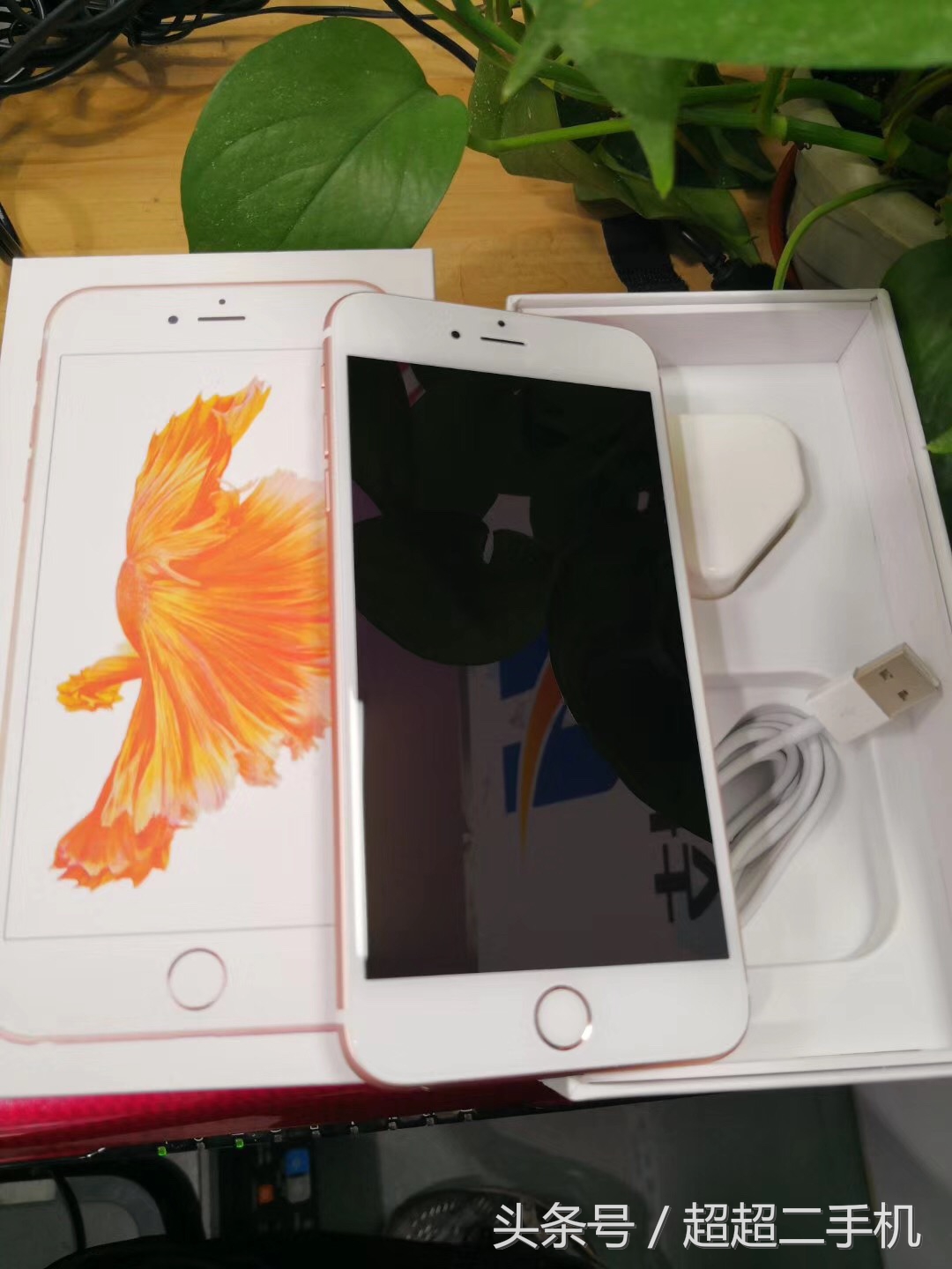 苹果哪款手机在2000元以内好用的,2000元能入手最好的iphone