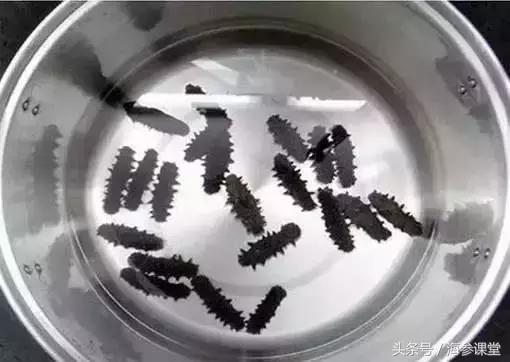 海参怎么杀掉,发干海参最好方法是什么