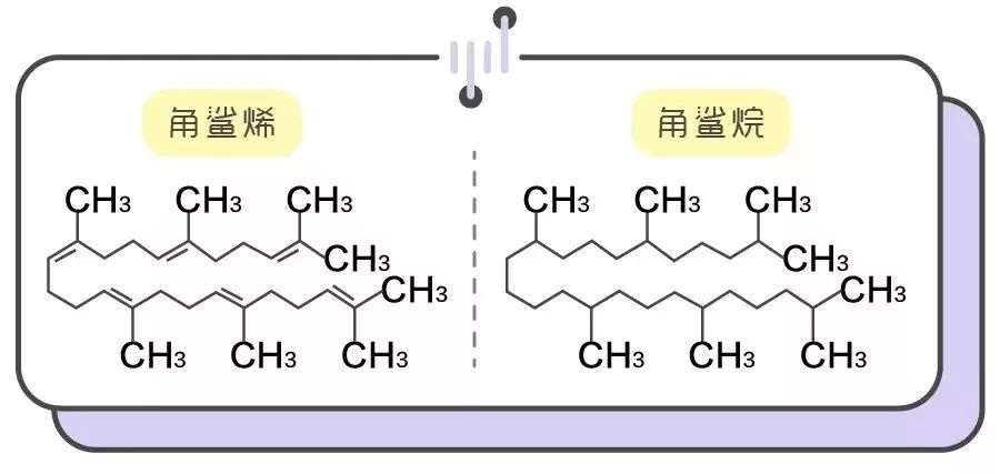 角鲨烷是护肤油吗,角鲨烷油用在护肤中的哪一步