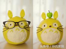 柚子同类型水果,柚子水果图片