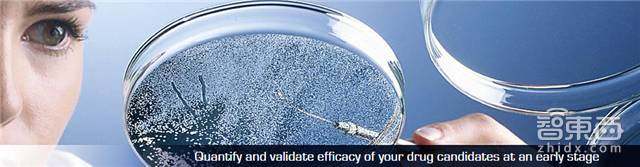 cbinsights统计初创公司失败原因,cbinsights行情