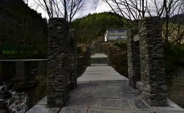 无量山樱花谷夏天,无量山樱花谷雾里看花