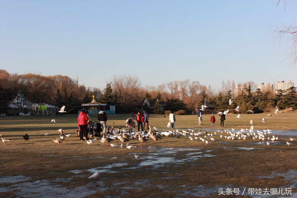 奥森附近小动物乐园,奥森公园世外桃源
