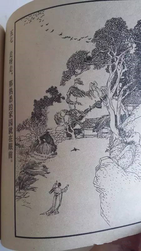 怀旧情结：小时候最大的梦想，是拥有一朵马兰花