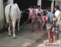 怎么看是不是真皮包,包包怎样看是真皮还是皮革