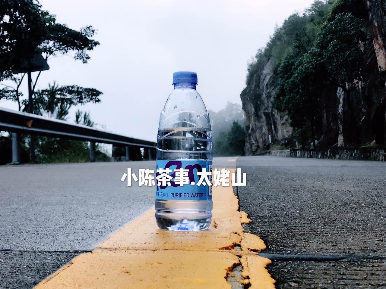 白茶知识100问,20秒了解白茶全集