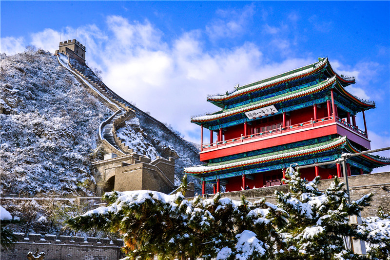 冰情雪趣绘画,冰情雪趣创意画