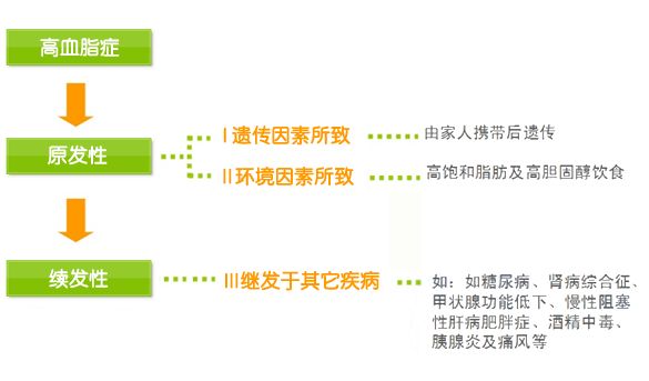 高血脂症怎么从根源上治疗,咋治疗高血脂症状