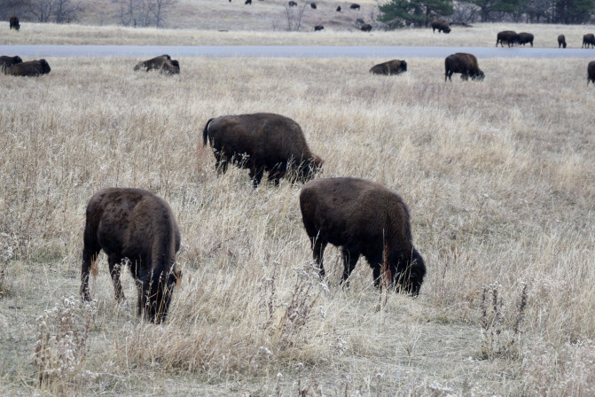 科罗拉多州到洛杉矶,科罗拉多州五月自驾