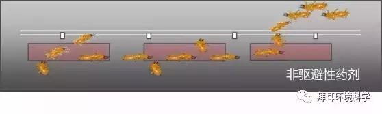 门框被白蚁蛀了怎么处理,防白蚁处理是在装修的哪个步骤