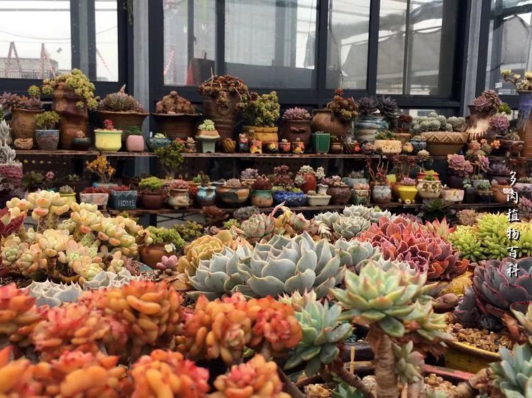 视觉盛宴美不胜收美图,视觉盛宴每个画面都美极了