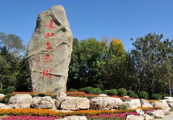 天津三月初哪个公园值得逛,天津最值得去的公园