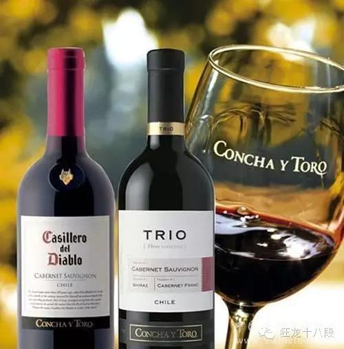 山东葡萄酒前十大品牌,世界十大葡萄酒品牌