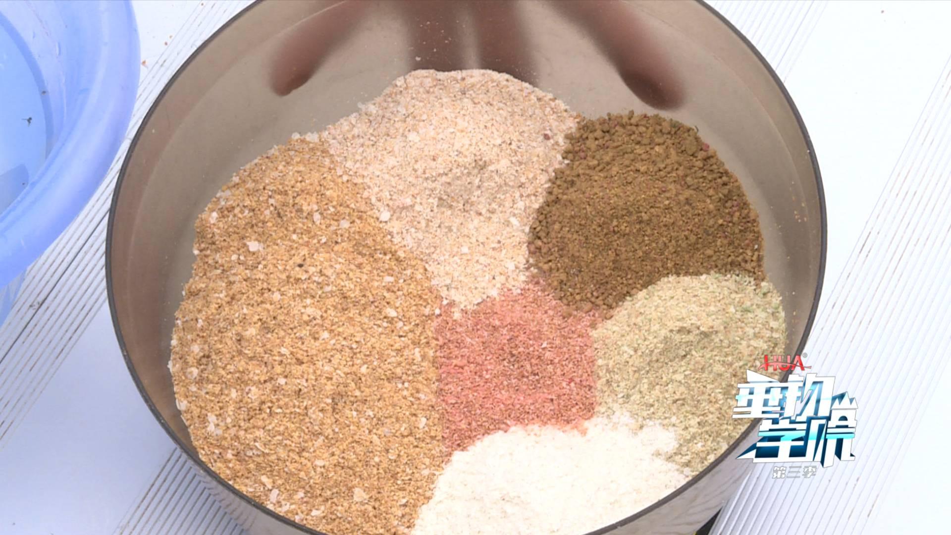 野钓小杂鱼闹窝太严重怎么办,为什么小杂鱼闹窝却钓不上来