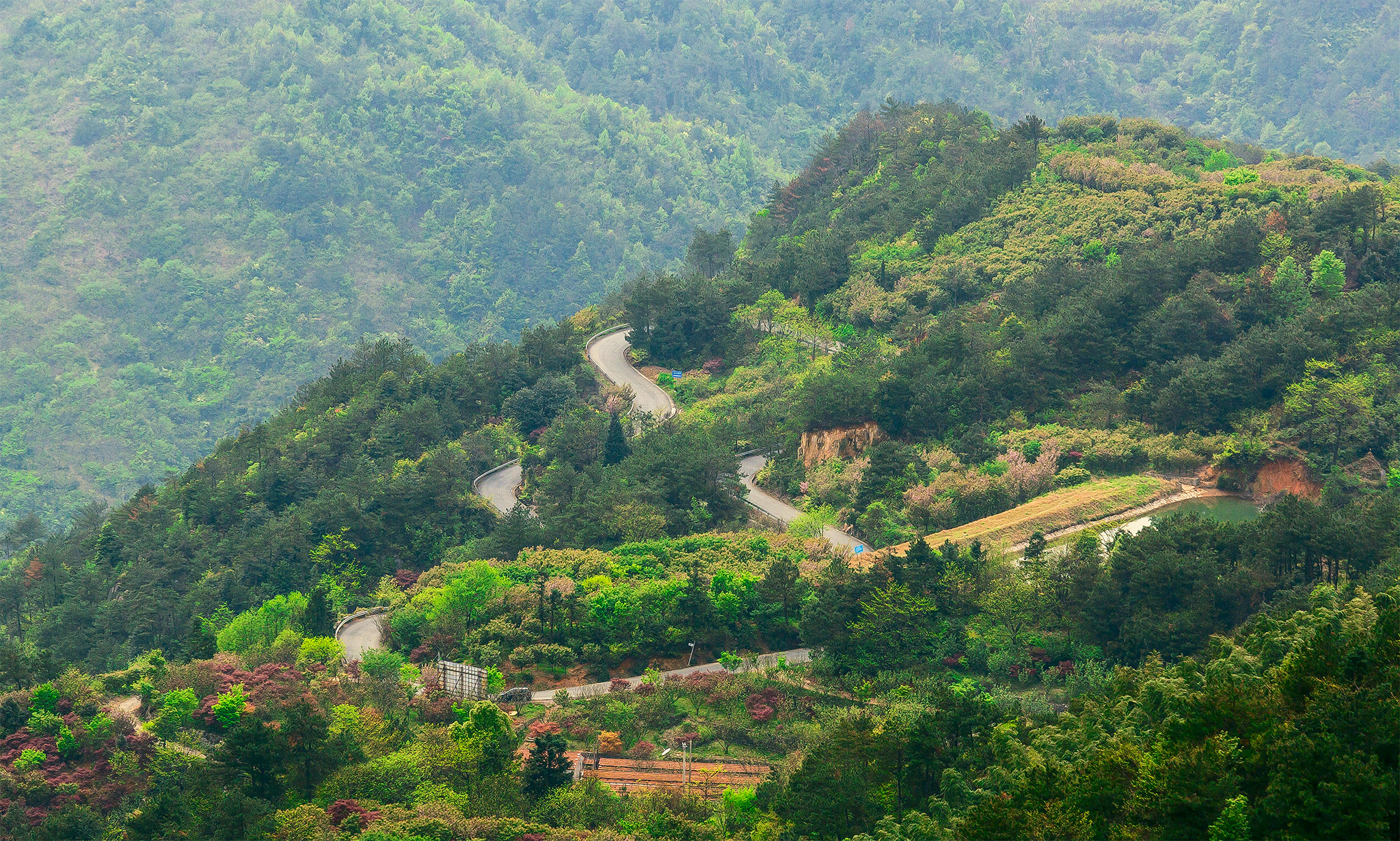 四明山地质公园和四明山森林公园,观四明山云海仙境有感