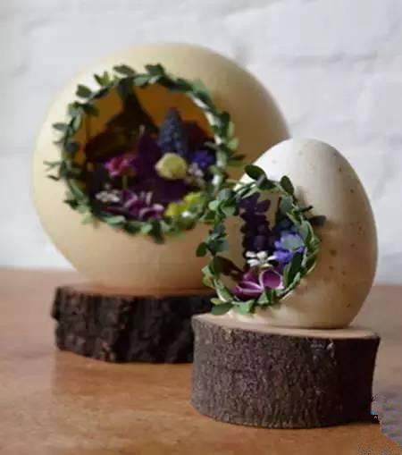 用鸡蛋壳这样养花1年不用施肥,鸡蛋壳别再扔了这样做比肉还好吃