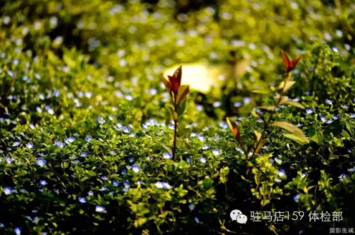 驻马店159是私人医院吗,驻马店159医院为啥改名