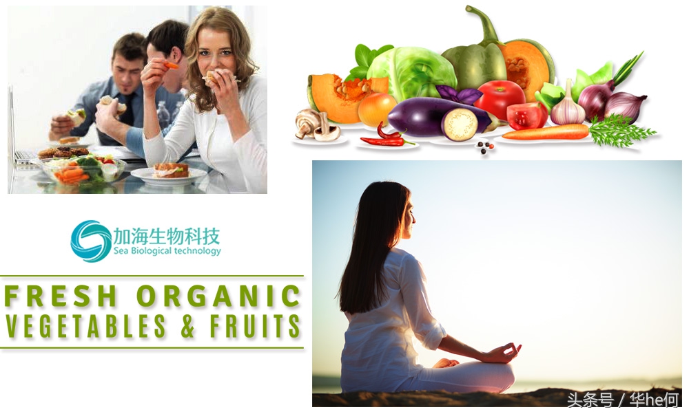 奇力寳果蔬酵素饮与蓝眼晶酵素原液