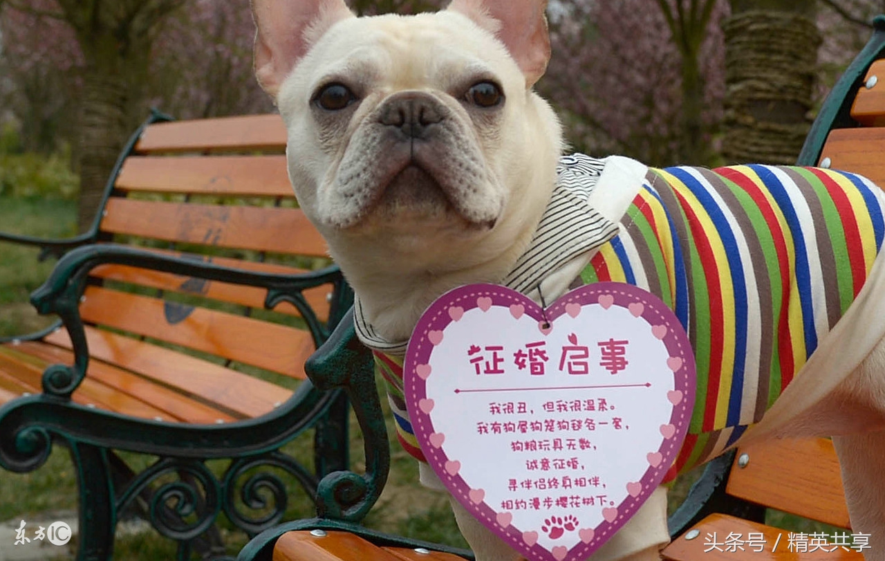 这是2017年微信朋友圈的精华版，每个月就一条，值得收藏