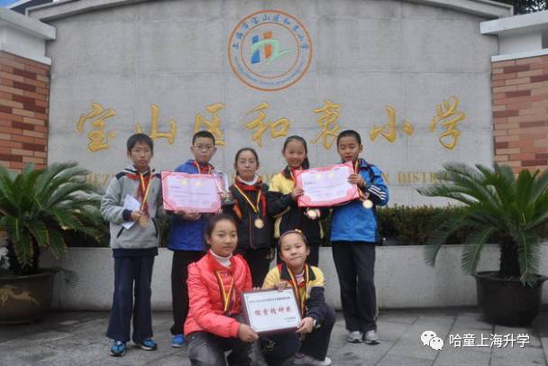 宝山区教育资源,上海宝山学区梯队