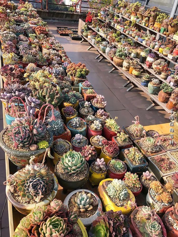 视觉盛宴美不胜收美图,视觉盛宴每个画面都美极了