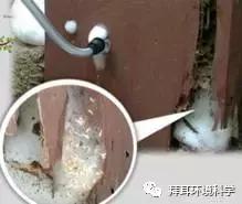 门框被白蚁蛀了怎么处理,防白蚁处理是在装修的哪个步骤