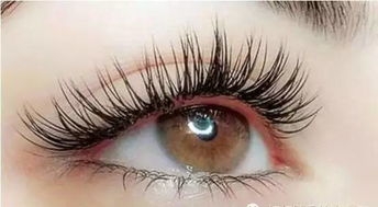 从零开始学化妆超详细入门教程,从零开始学化妆教程图片高清大图