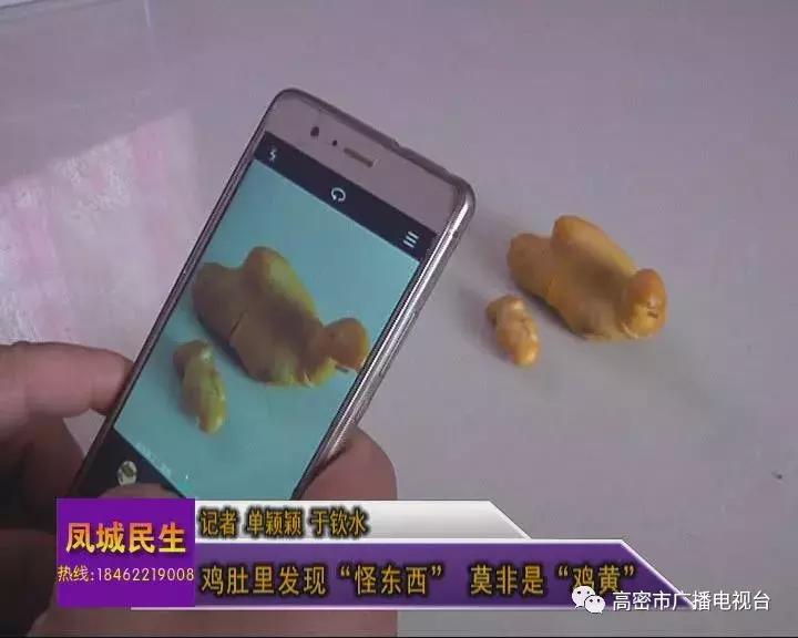 奇事｜一高密人在鸡肚子里发现个怪东西，快来看看你认不认识！