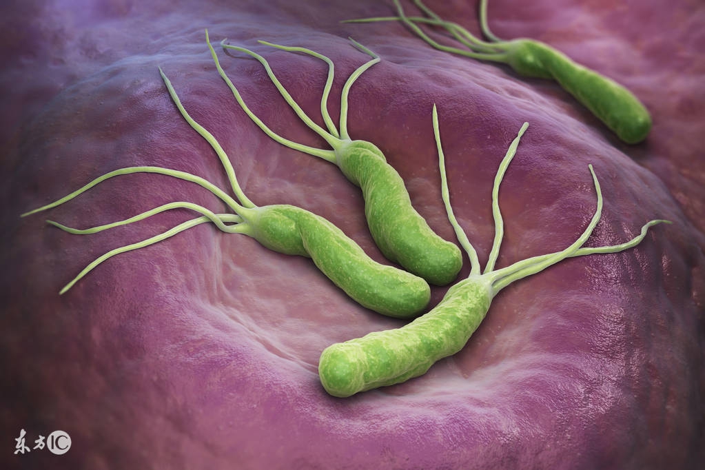 进口奶粉品牌中老年无糖十大排名,进口奶粉横向对比快来了解一下