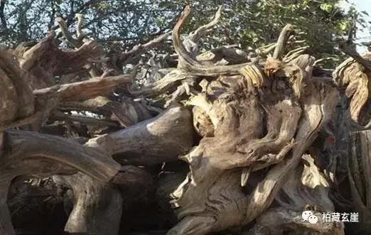 树根变艺术品,万万没想到竹根雕竟也能玉化包浆