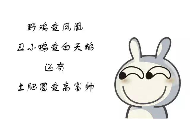 双非逆袭上清华的是真的吗,从双非一路逆袭