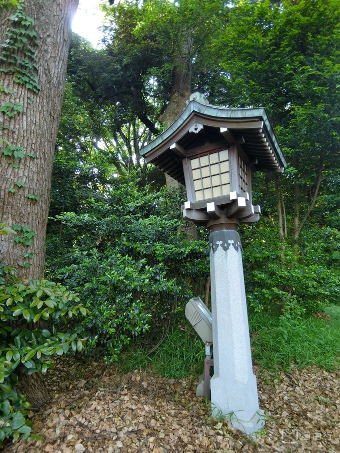 明治神宫参观,明治神宫和哪些景点一起游览好玩