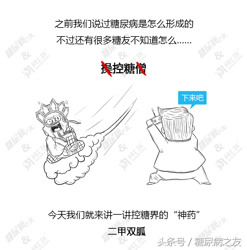 二甲双胍控糖药效多久,二甲双胍控制血糖效果