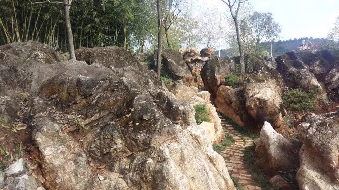 亲子推荐│蝶梦山丘—让蝶入梦、与蝶共舞