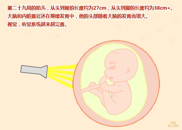 孕八个月胎动减少变弱,怀孕八个月胎动变少了怎么回事