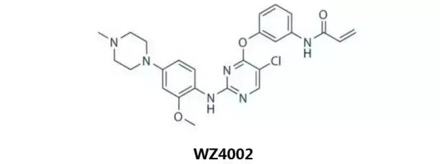 egfr突变非小细胞肺癌临床试验,EGFR肺癌