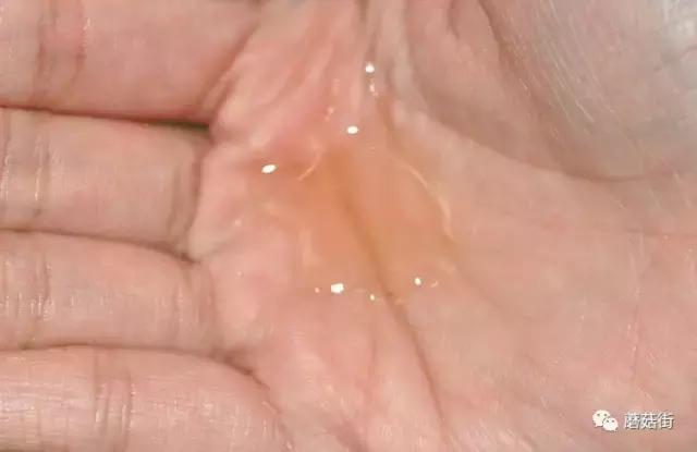 口碑最好的10种高级护肤水,雅诗兰黛和海蓝之谜哪个护肤水好