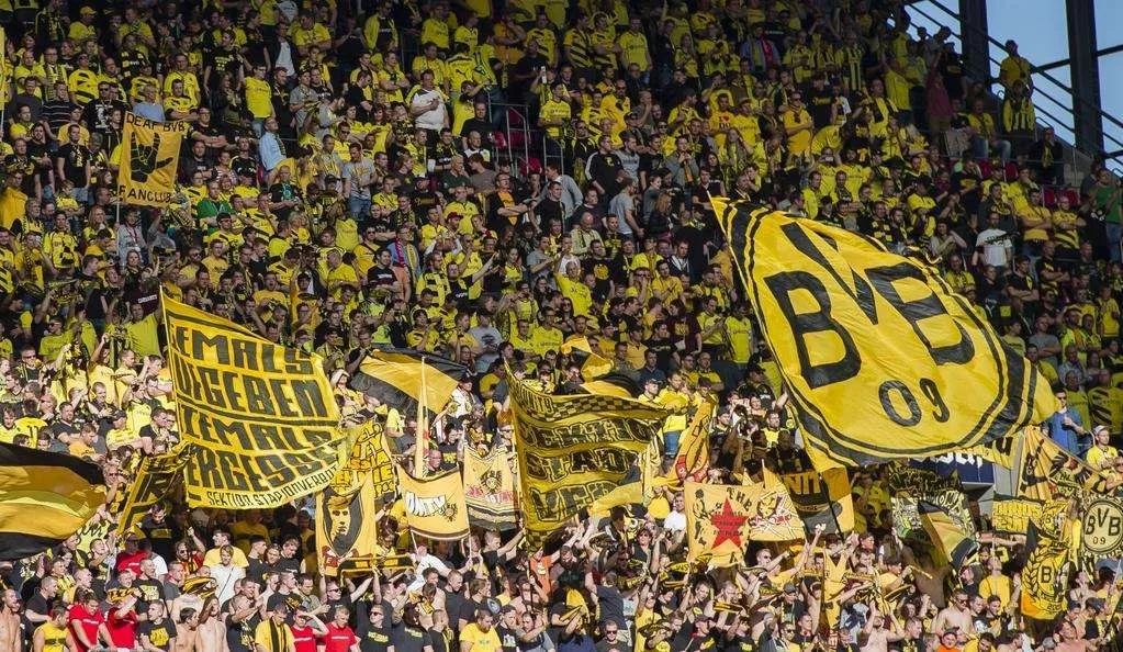 12.18-12.24全球体育营销TOP10｜未来两届女排世俱杯落户中国