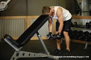 中年人健身房一周训练计划,健身房一周训练计划app