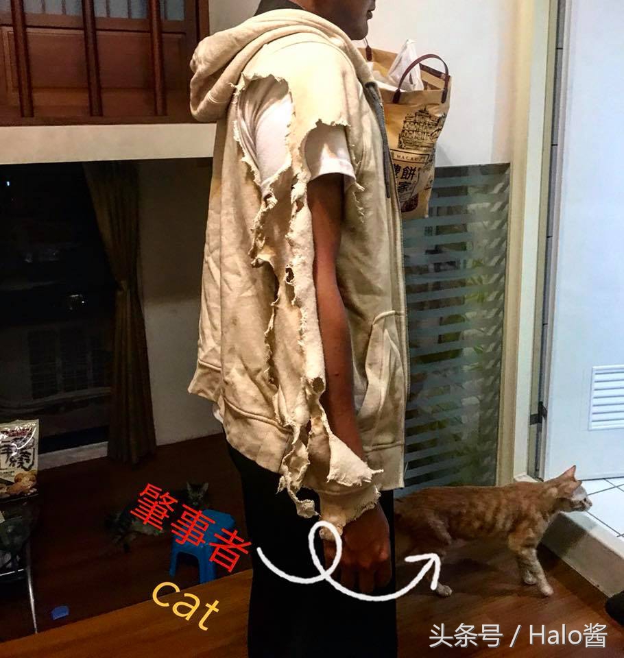 防止猫咪咬伤的衣服,怎么防止猫咪咬烂手术服