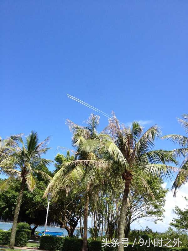 湛江空气质量全国排名,中国大陆最南端在湛江哪个镇