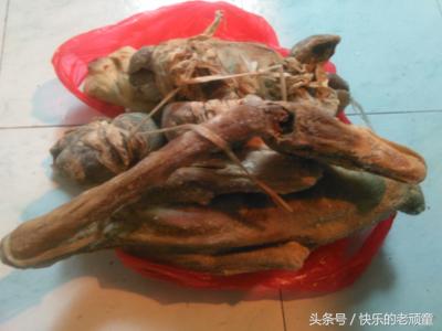 央视点评寿县咸鹅,寿县咸鹅味道怎么样