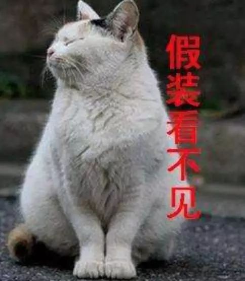 美国军舰可以自己停靠吗,美国军舰可以避开也门胡塞吗